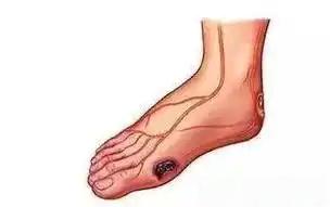 vzDnfec5_zYUO.jpg?auth_key=1731254399-0-